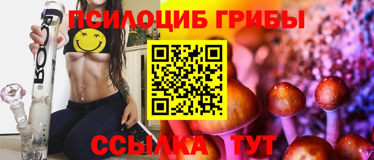 Галлюциногенные грибы прущие грибы  Вход с VPN  Кимовск 